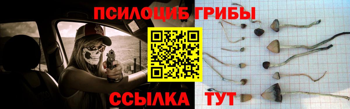 Галлюциногенные грибы GOLDEN TEACHER  Вход с VPN  Бузулук 